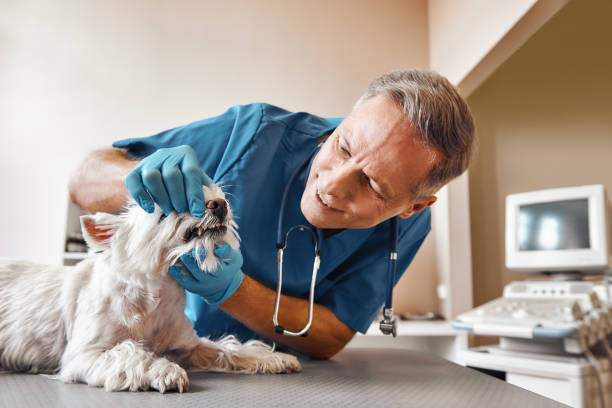 Best Emergency Wisdom Teeth Removal in Ferriday, LA